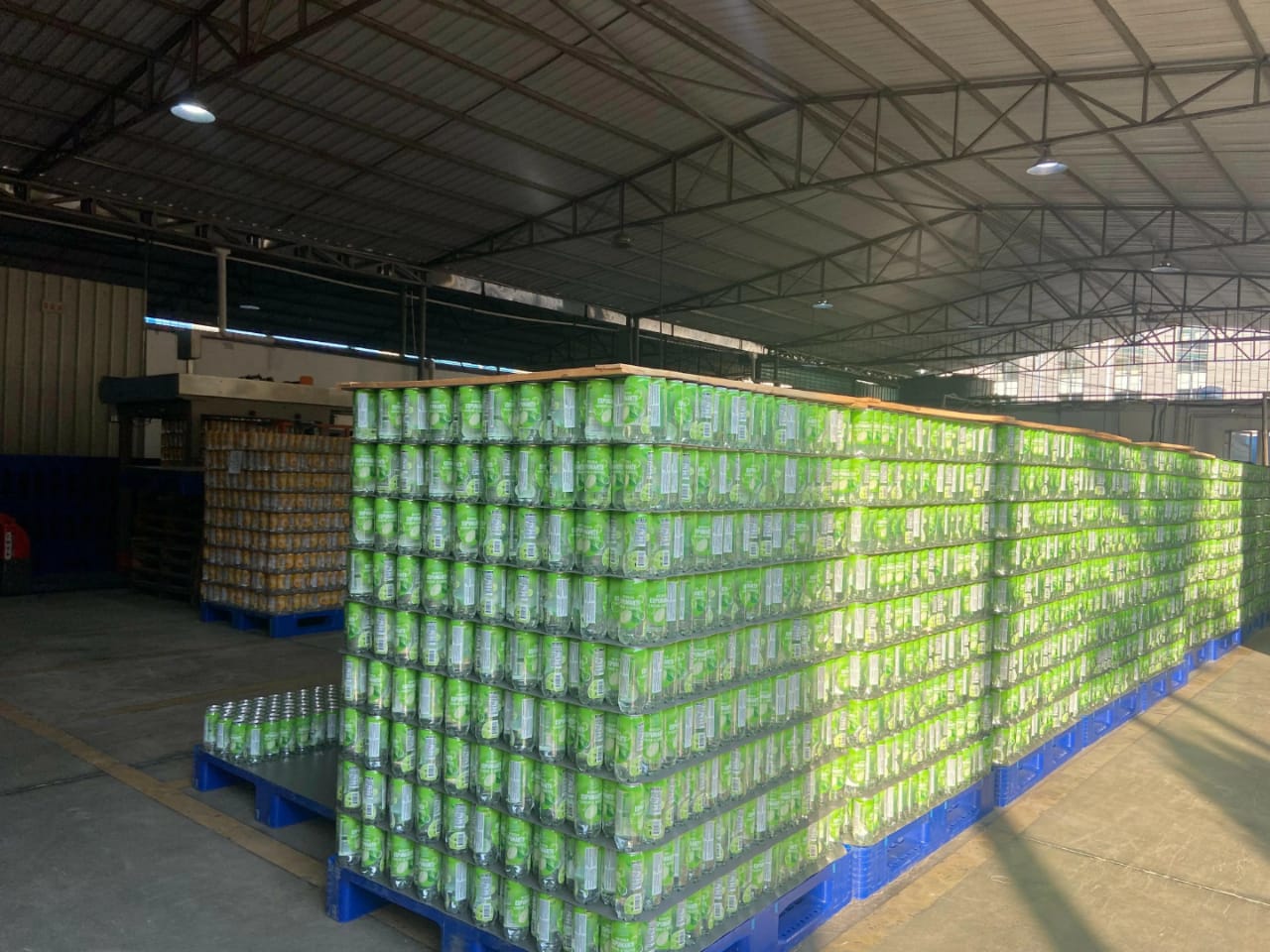 خدمات حمل‌ و نقل حرفه‌ای